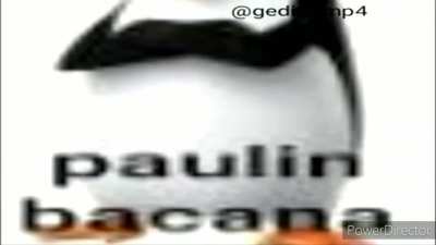 Só Paulin bacana msm