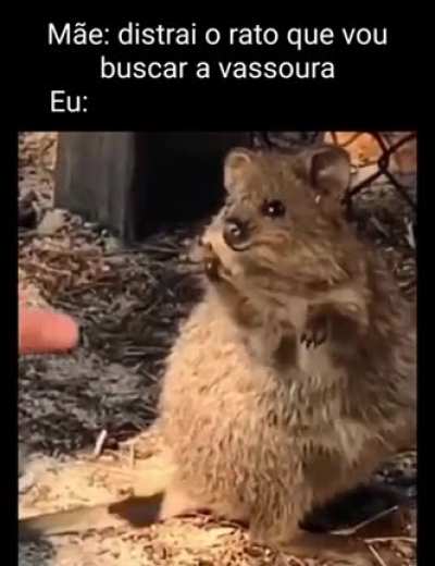 👌