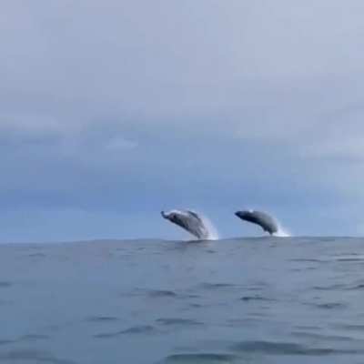 🔥 Double breach near Santa Teresa, Costa Rica