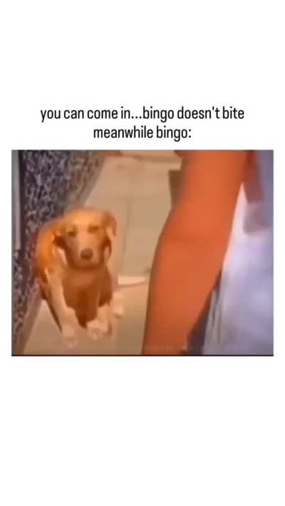 Bingo will only judge you