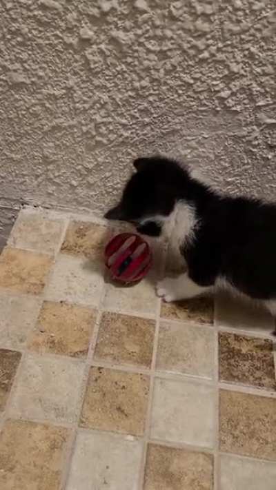 Discovering toys