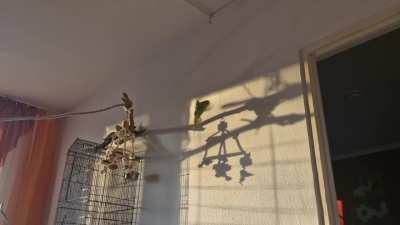 She doesn't realize what a shadow is