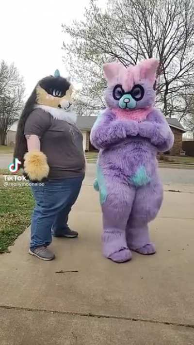 Furries confuse me