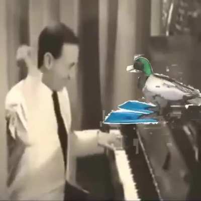 Oh não