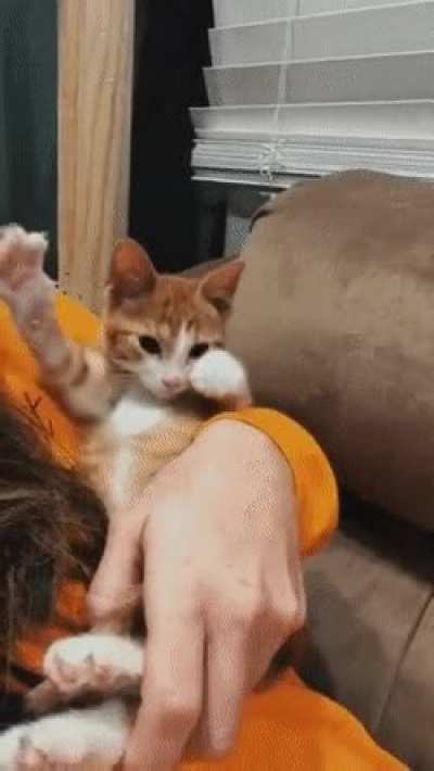 Morning exercises