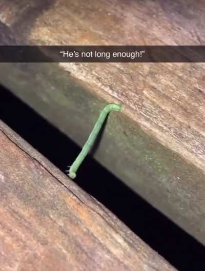 He’s not long enough