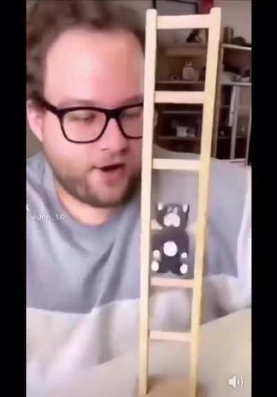 ladder