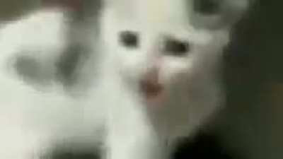 AUGHHH