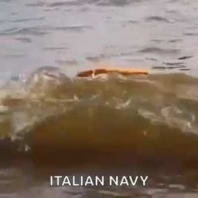 Blursed Navy