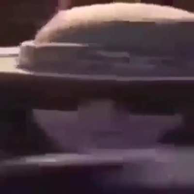 Ñi ñi ñi