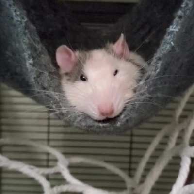 A comfy, boggling boy