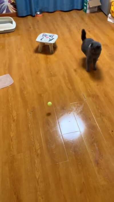 Ping pong ball