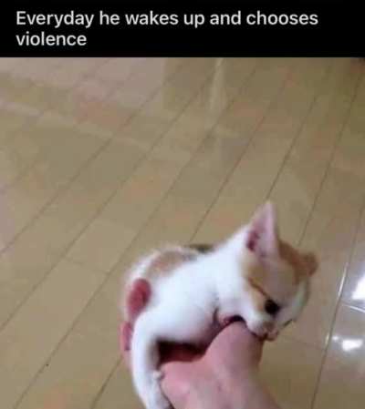 violence 😔