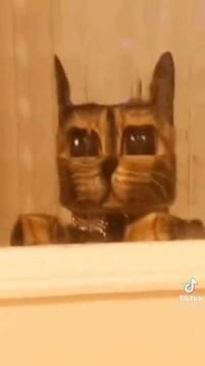 MINECRAFT CAT MINECRAFT CAT