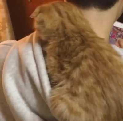 Kid SHoWs ofF fAtaL neCk tuMOur
