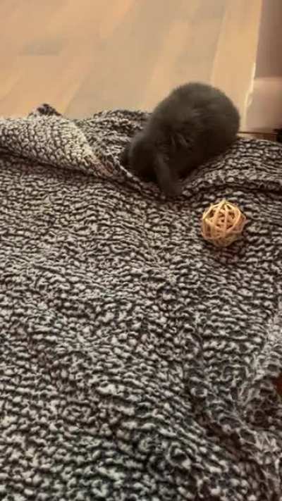 They grow up so fast