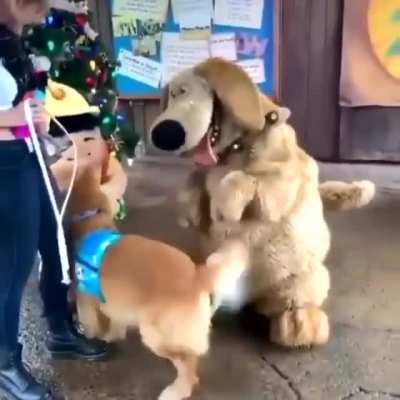 I am also a dog!