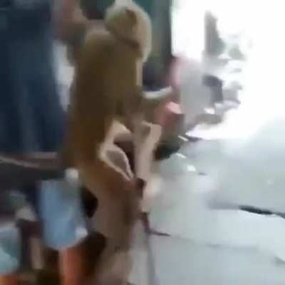 Monkey on stilts