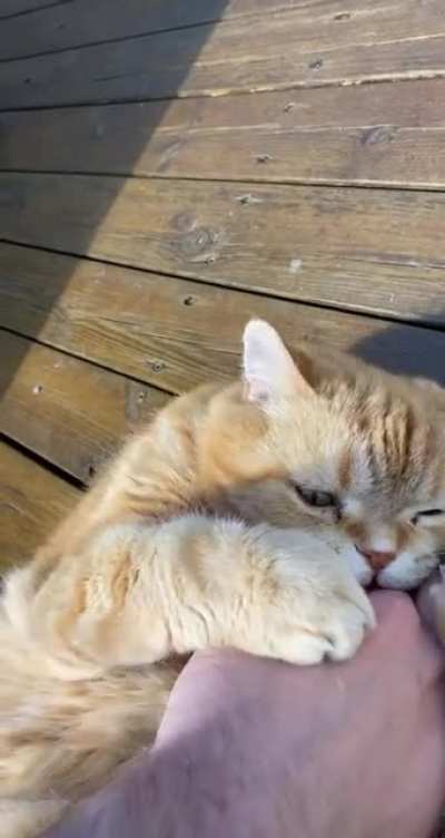 I couldn’t resist that belly