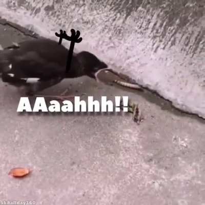 AAAHHH !!