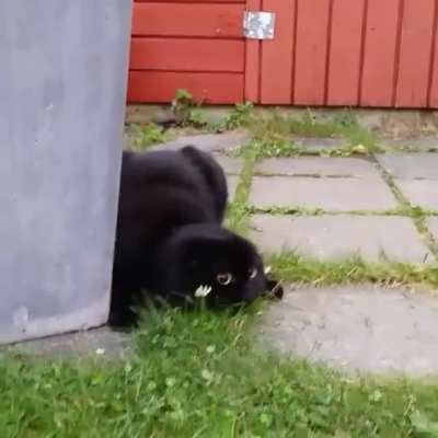 Stealth mode enabled