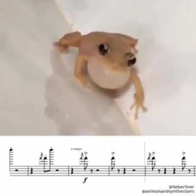 Idk if this has already been posted here