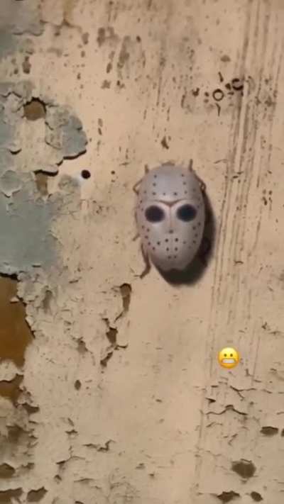 Jason! Is that you? 