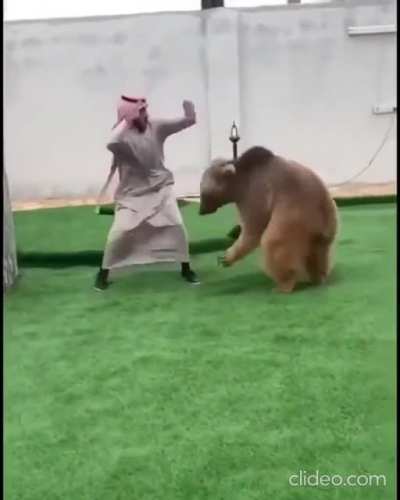 Салки