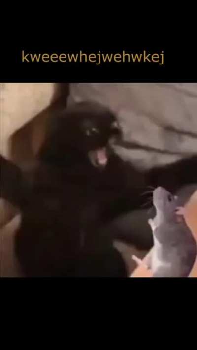 :l