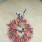 cAt mURdeRs BrOtHEr iN gRUeSoMe tRaP oF DeATh (hard to watch)