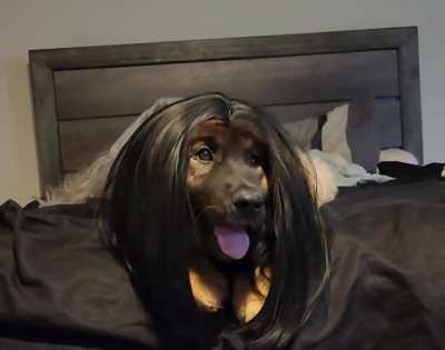 Instantly reminded me of Outcast with this wig. ððð¶ð¾ð¶
