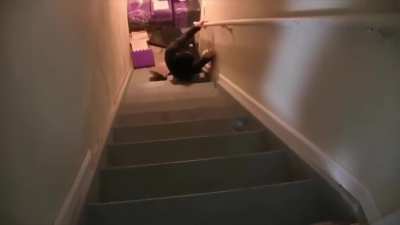 Don't play on stairs, kids.