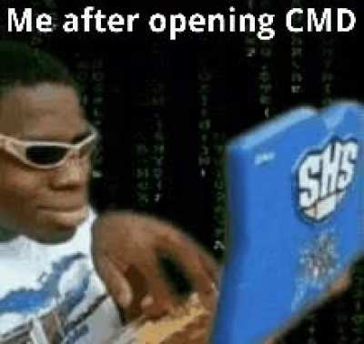 Professional Hacker
