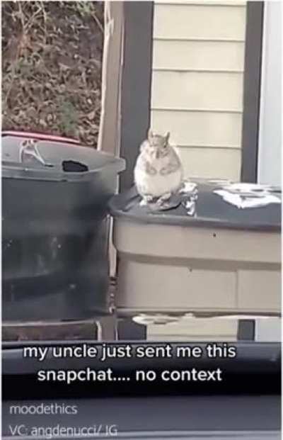 Maybe maybe maybe