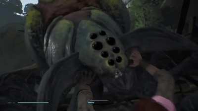 Giant Enemy Spider