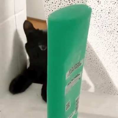 Get your shampoo out of my way!