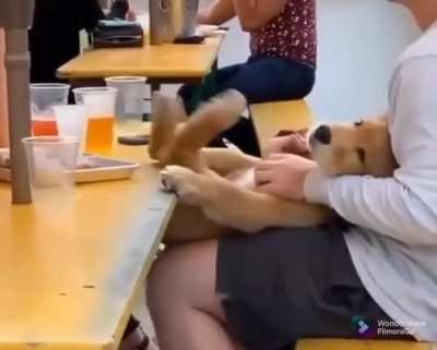 HappyFeets