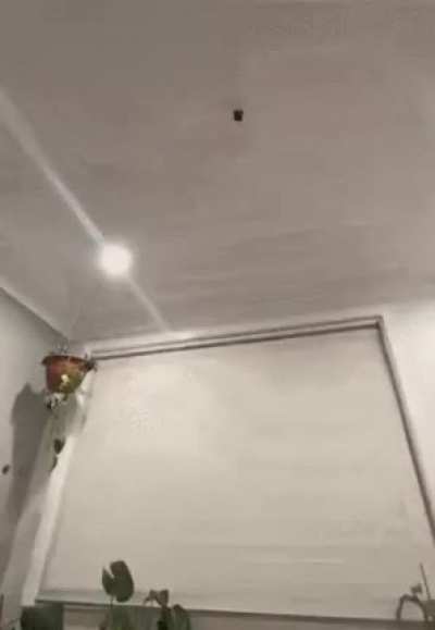 My hot wheels people need me
