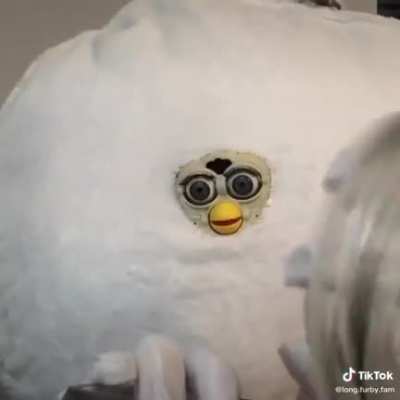 Cursed_Jar