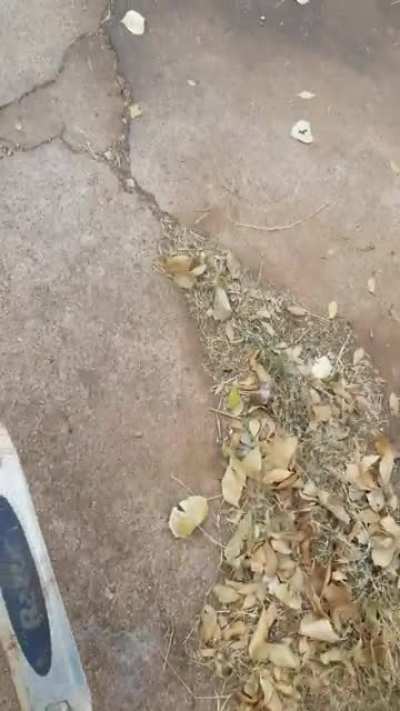 Hurt
