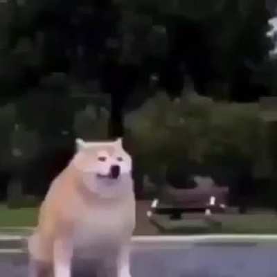 Mi viejo cuando mi viejo cuando ganó un millón de pesitos
