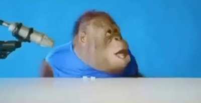 Monke die