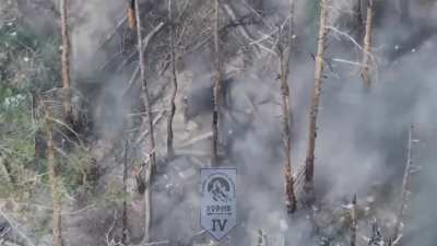 Compilation of drone strikes on Russian infantry in the Serebryansky forest by Ukrainian 