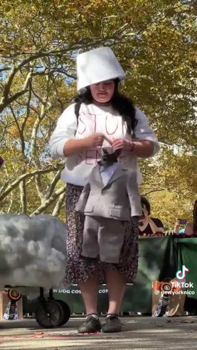 A dog's Halloween costume in New York from a TikTok video i've seen the other day (credit goes to @newyorknico)