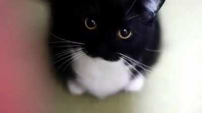 heð¨