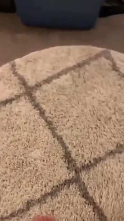Such a pretty rug.