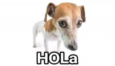 HOla
