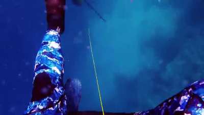 Spearfisherman saves his own life with his quick reflexes