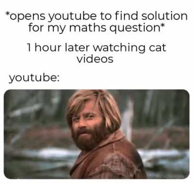 Not a USA riots meme