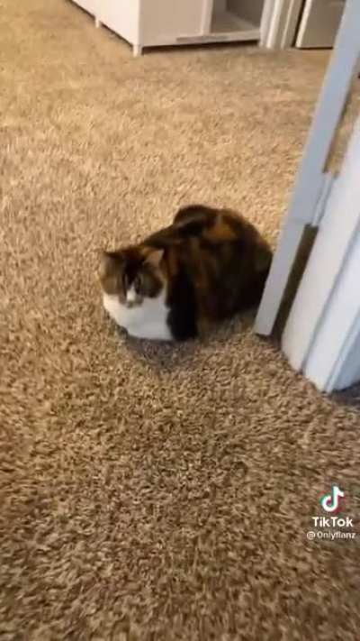 Huh!